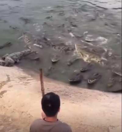 ich🐊iel