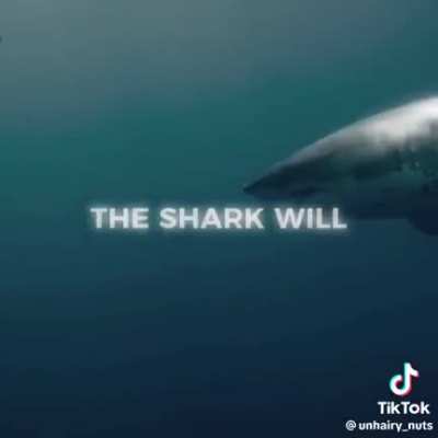 For the orca fans 