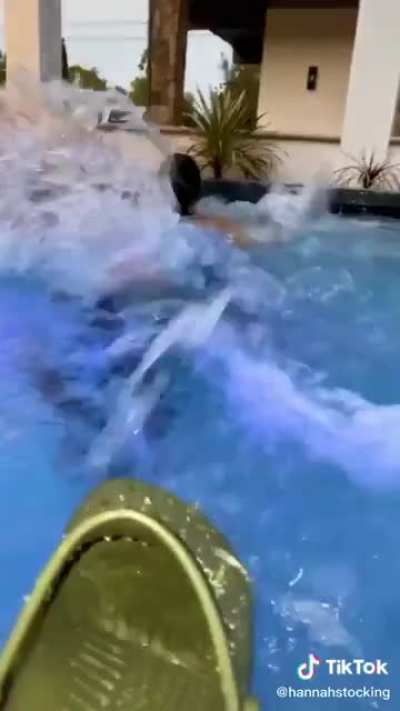 New on TikTok