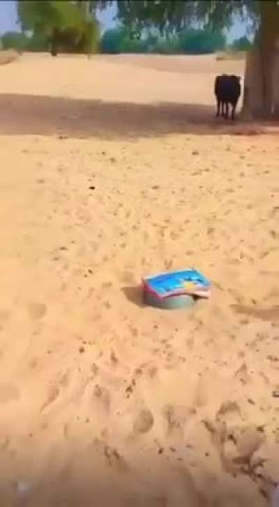 Collateral damage