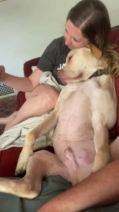 Caught my GF taking selfies with my dog. The shade he throws me at the end hurt me...