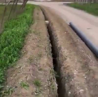 To help the sheep