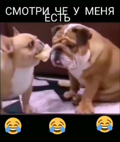 Тролляка