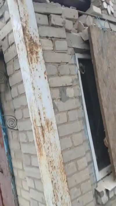 Video shared by battalion of Ukrainian volunteers who saved three houses and two puppies from incendiary munitions