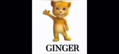 Ginger