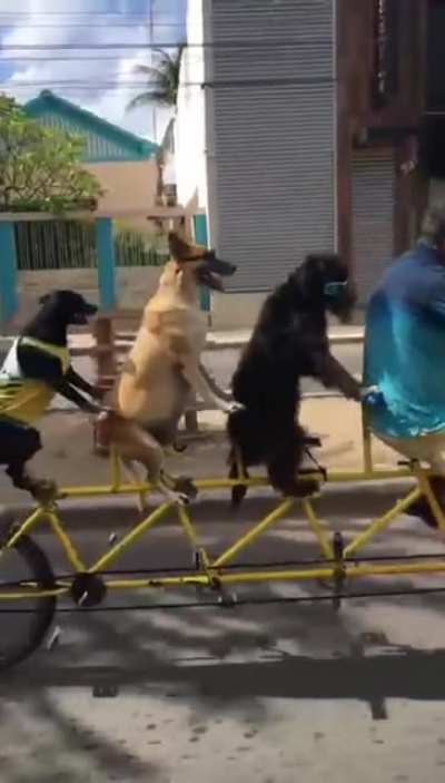 On your left! Comin' through!