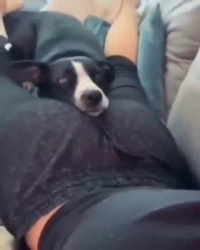 Butt pillow.