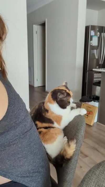 Our cats unusual habit - The back squish