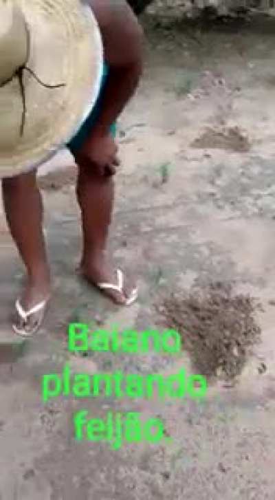 agora eu quero um tatu