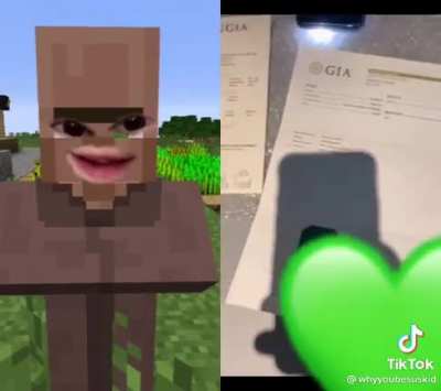 Minceraft villagers be like