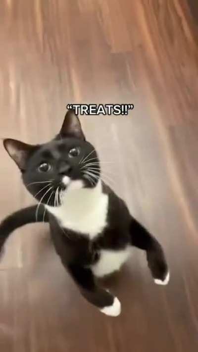 FUUUUU-