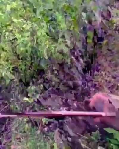 WTF