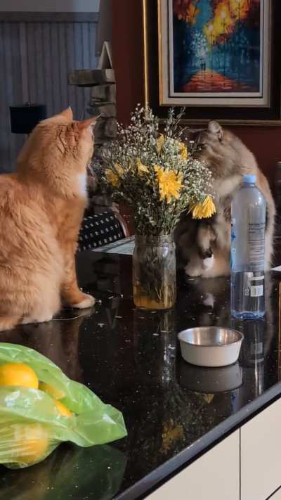 It wasn't me
