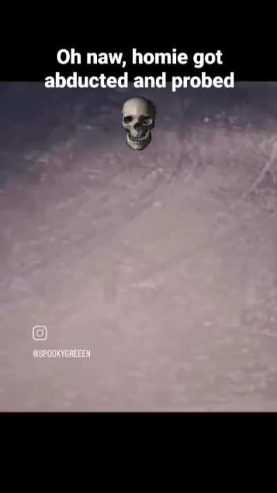real or fake?