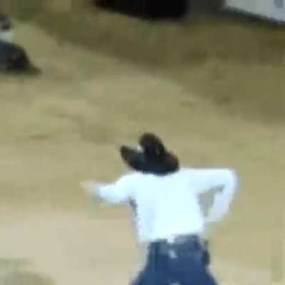 vaquero