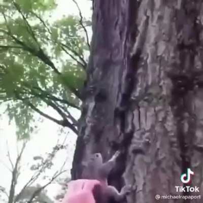 Just let him go