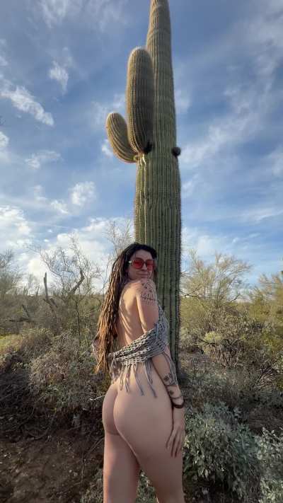 Out hiking my favorite trail! 🌵