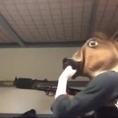 Cavalo tático!