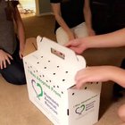 Frozen after seeing shit
