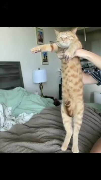 It moves!!