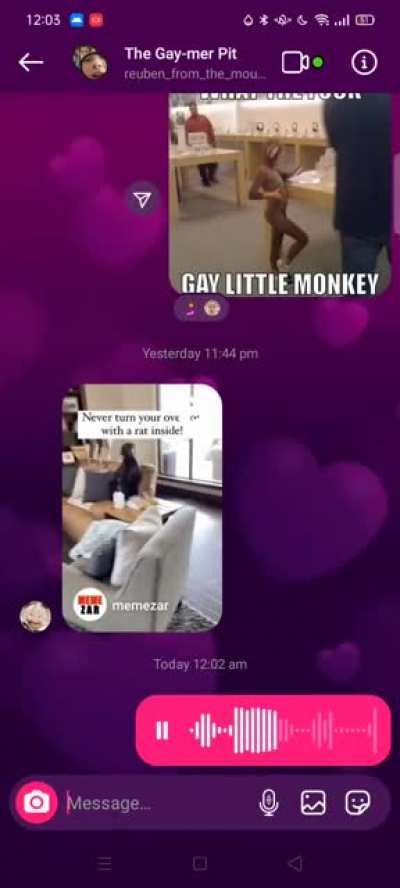 My friend send me a video where a rat jumps at he camera
