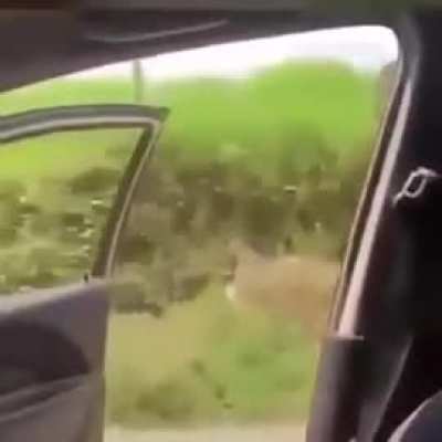 Kiki trend