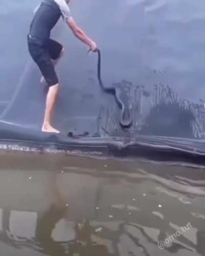 Snake fun