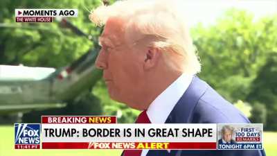 Trump: 