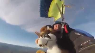 Stupid furry