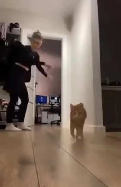 to make a video