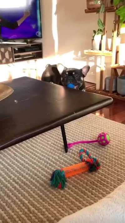 Ball spitter