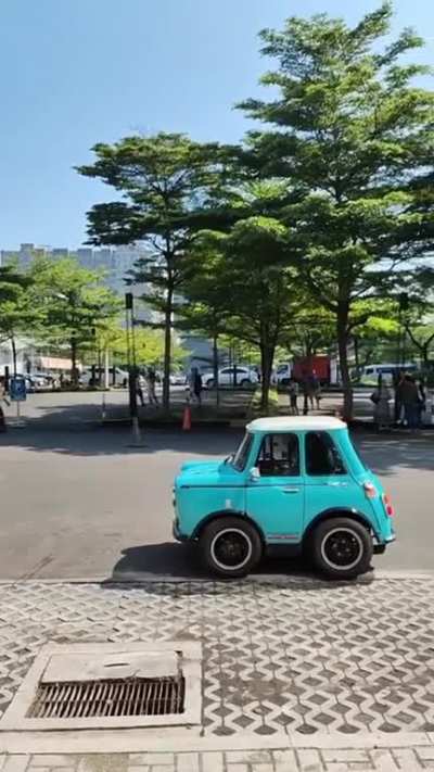 A mini-Mini