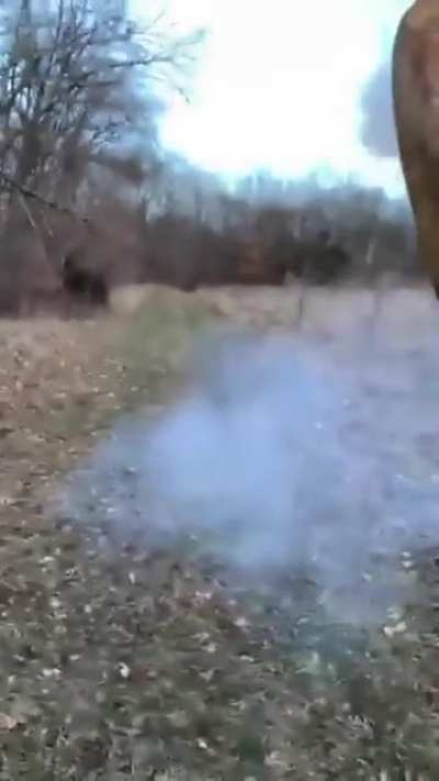 Cursed Eoka IRL