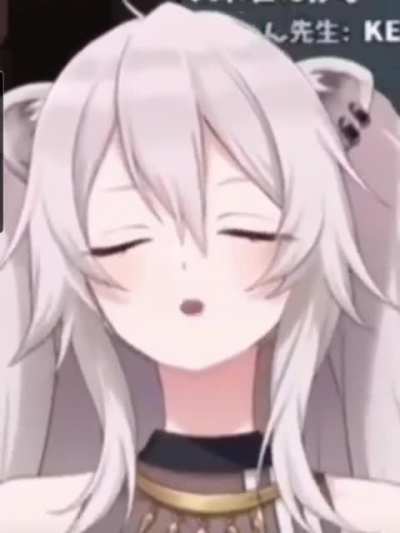 Cute Lion~