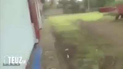 Cursed_creature