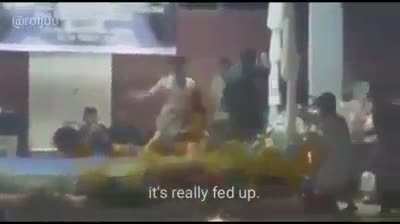 anime_fights_be_like.mp4