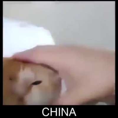 China