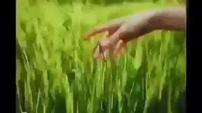 This belongs here