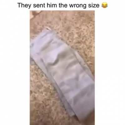 Wtf