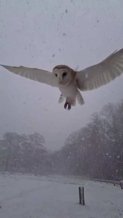 That is incredible!!!