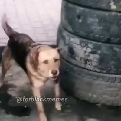 Yol yabdı