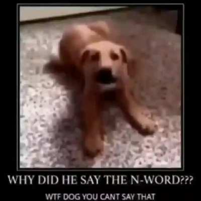 DONT SAY THE N-WORD!!!!