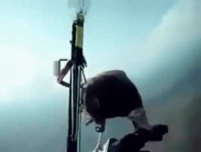 Bird stops by to visit a skydiver