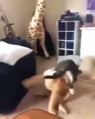 😄😄😄😄😄😄