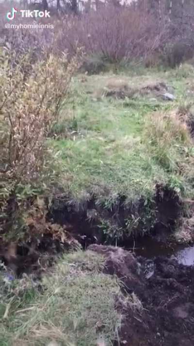 To cross a creek.