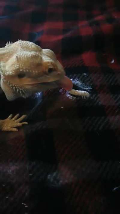 Y u m m y f o o d!(trying to type slow motion)