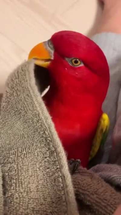WUEWUEWUEWUE