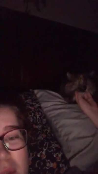 Cat finally accepts me