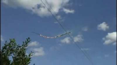 What happens when a tree branch falls on power lines(video from wickedinsight)