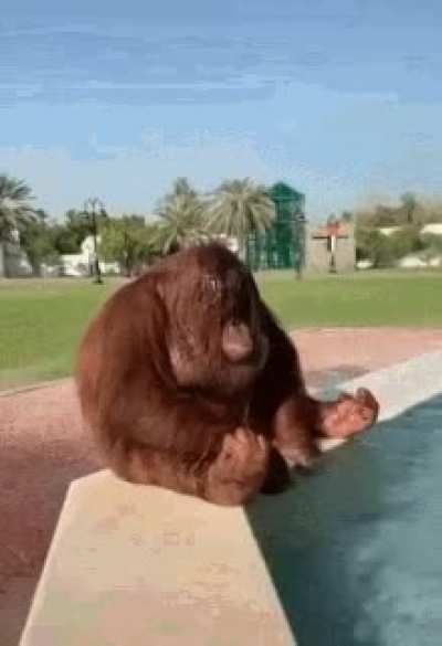 Monke want water